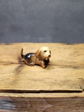 dog beagle for sale  Tonawanda
