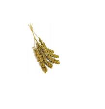 Millet spray 100g for sale  LEIGHTON BUZZARD