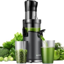 masticating juicer for sale masticating juicer for sale LEEDS