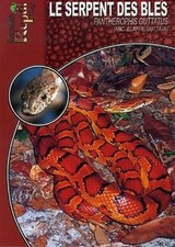 Serpent blés pantherophis gebraucht kaufen  Berlin