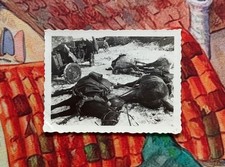 Photo ww2 chevaux d'occasion  Les Pieux