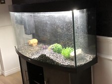 Juwel aquarium 260 for sale  BARKING