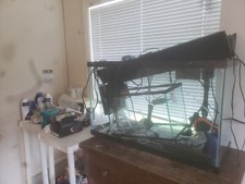 Gallon fish tank for sale  Port Jefferson Station