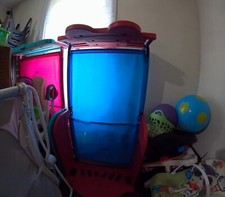 Adorable toddler boys for sale  Elon