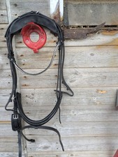 Finesse cassidy bridle for sale  DUNBLANE