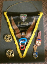 Fanion militaire parachutiste d'occasion  France