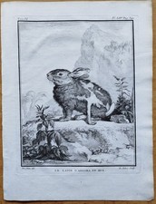Rabbit hare lapin d'occasion  Expédié en Belgium