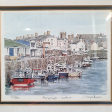 Glyn martin aberystwyth for sale  CHELTENHAM