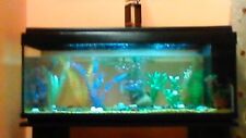 Acquario litri completo usato  San Severo