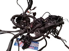 Elektrokabelbaum electrical wi gebraucht kaufen  Versand nach Germany