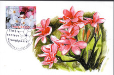 775 polynesie carte d'occasion  Roanne