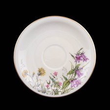 Untertasse kaffeetasse szene gebraucht kaufen Untertasse kaffeetasse szene gebraucht kaufen  Holzgerlingen