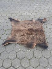 Xxl wildschweinfell 110 gebraucht kaufen  Geldern