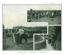1916 drunk gabion d'occasion  Expédié en Belgium