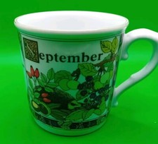 Royal worcester mug for sale  RYDE