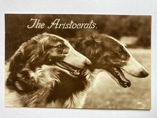 Borzoi russian hunting for sale  WORKINGTON