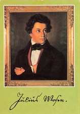 Plauen vogtlandmuseum carl gebraucht kaufen  Lindau (Bodensee)