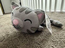 need kitten for sale  Vacaville