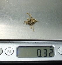 0.32g .375 9ct for sale  LEEDS
