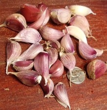 Organic fresh 2025 for sale  West Plains