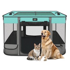 Pet dog cat for sale  Eugene