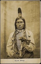 000 native american for sale  Granite City