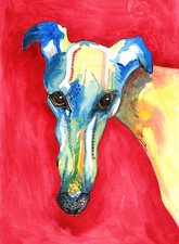 Greyhound whippet lurcher for sale  RIPON