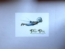 Peter pan frezzato usato  Terni