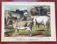 1880 art lithograph for sale  Dublin