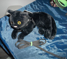 Trixie geschirr katzen gebraucht kaufen  Ruderting