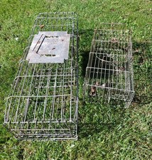 Rat trap squirrel for sale  FAVERSHAM