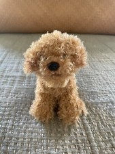 Nate jules labradoodle for sale  Amarillo
