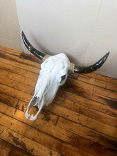 Vintage steer skull for sale  Chicago