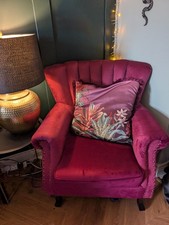 Gorgeous velvet wingback for sale  MANCHESTER