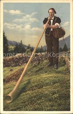 Alphorn alphornbläser gebraucht kaufen  Deutschland
