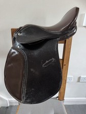 Saddle pony for sale  NORTHWICH