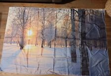 Sunset birch forest for sale  Corpus Christi