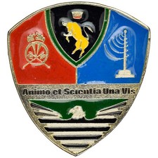 Distintivo battaglione logisti usato  Italia