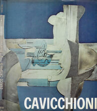 Vittorio cavicchioni. enrico usato  Italia