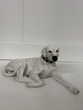 Large labrador dog for sale  NORWICH