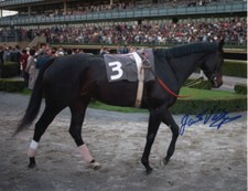 Ruffian 1975 acorn for sale  Lexington
