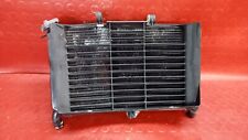 Radiatore acqua yamaha usato  Massa di Somma