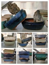 Vaso bonsai ovale usato  Foligno
