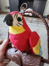 Talking repeating parrot for sale  Boise
