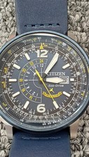 citizen promaster serie ouro comprar usado citizen promaster serie ouro comprar usado Enviando para Brazil
