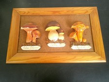 Tableau champignons pate d'occasion  Mer