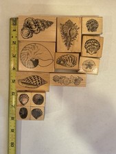 Coastal seashell rubber for sale  East Greenwich
