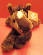 Aurora floppy laying for sale  Aurora