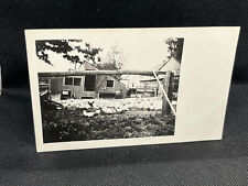 Rppc flock chickens for sale  Columbia