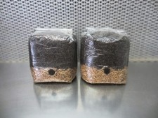 mushroom bag for sale mushroom bag for sale Bloomington